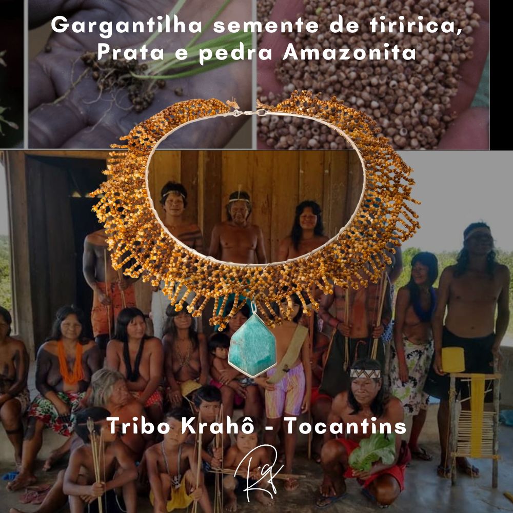 Um Tesouro do Tocantins - Semente Tiririca